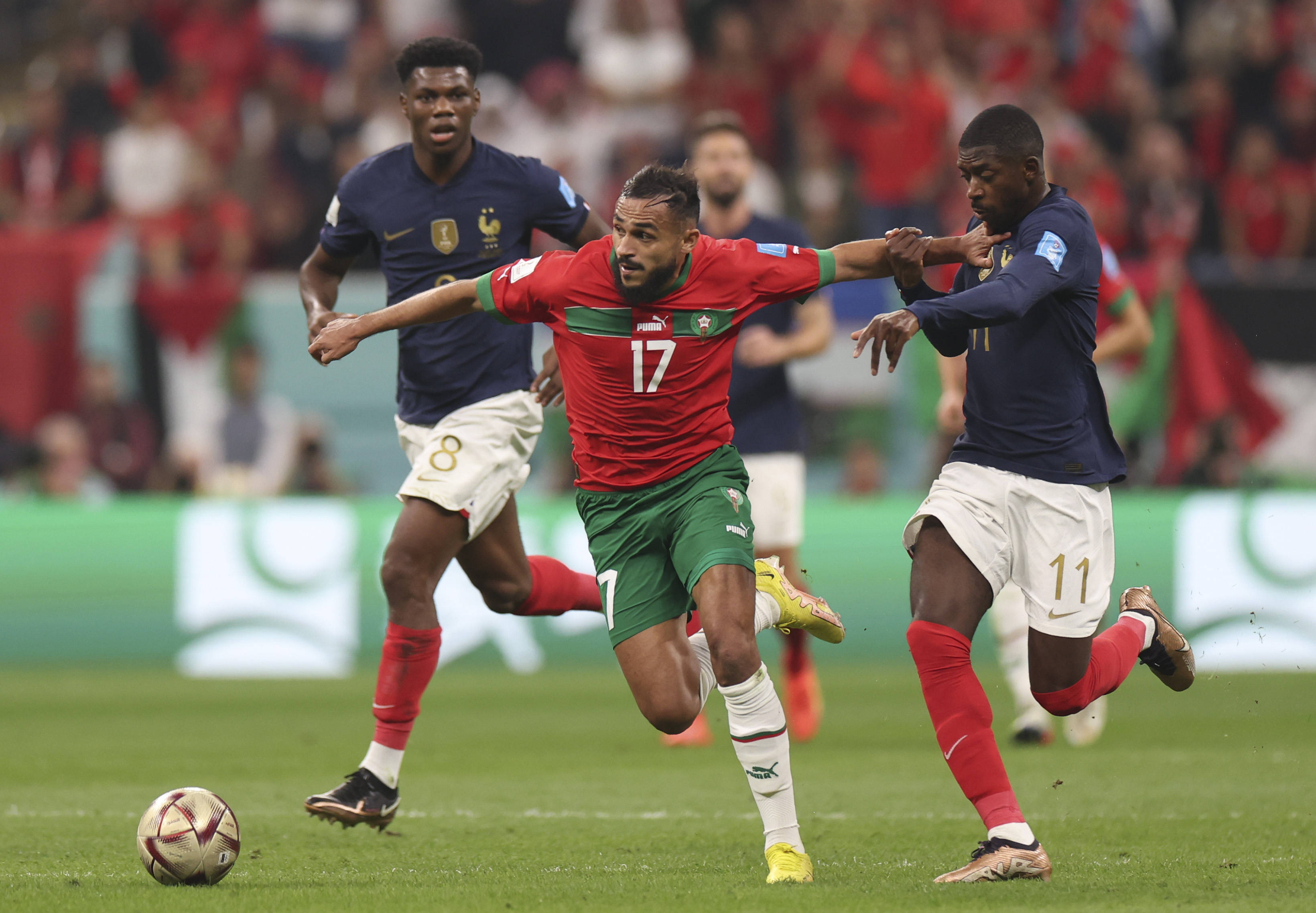 他早已对这 他早已对这