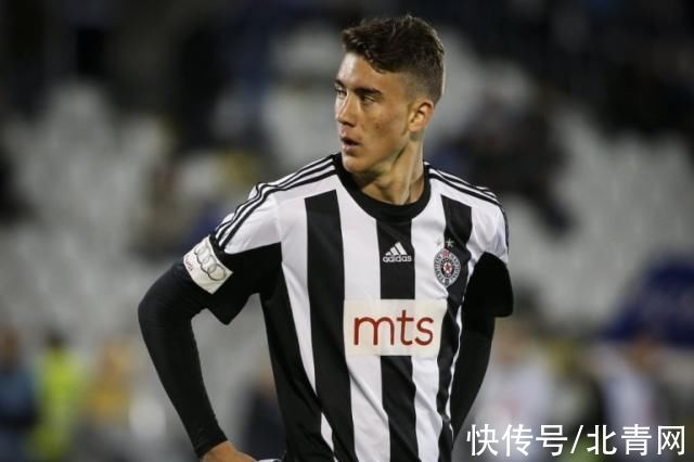 体型优势与 体型优势与