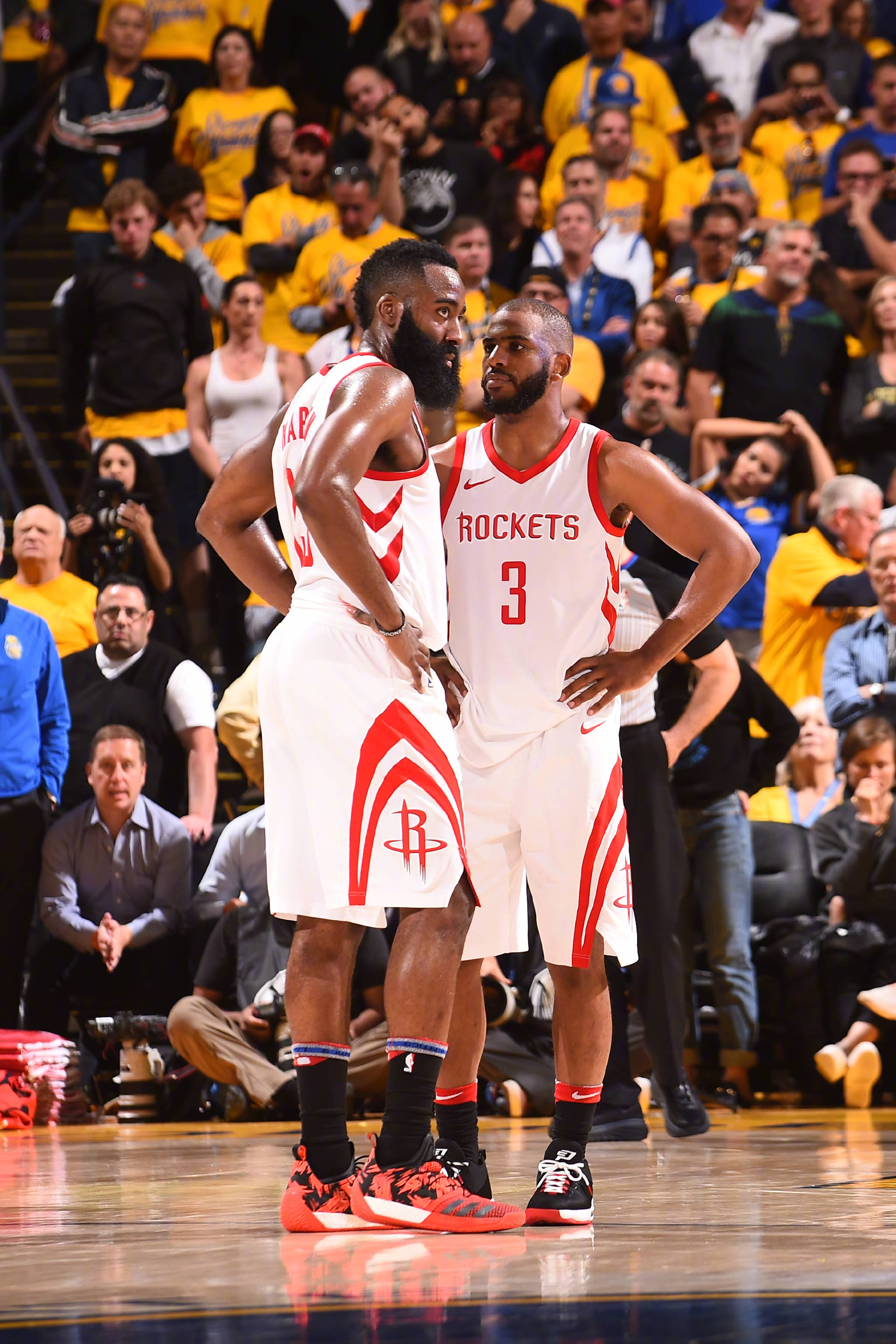 我们期待中 我们期待中