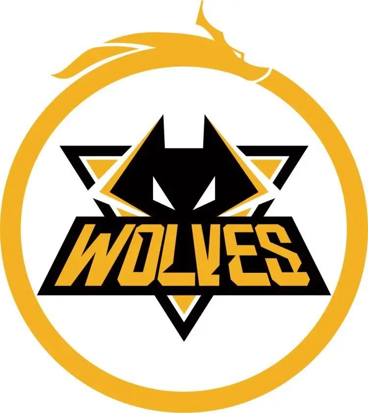 案例分析 案例分析